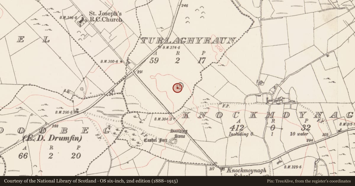 Ordnance Survey six-inch map, 2nd edition (1888–1915) covering the location of Ringfort - rath, Turlaghyraun, County Sligo, with a pin at the register's coordinates