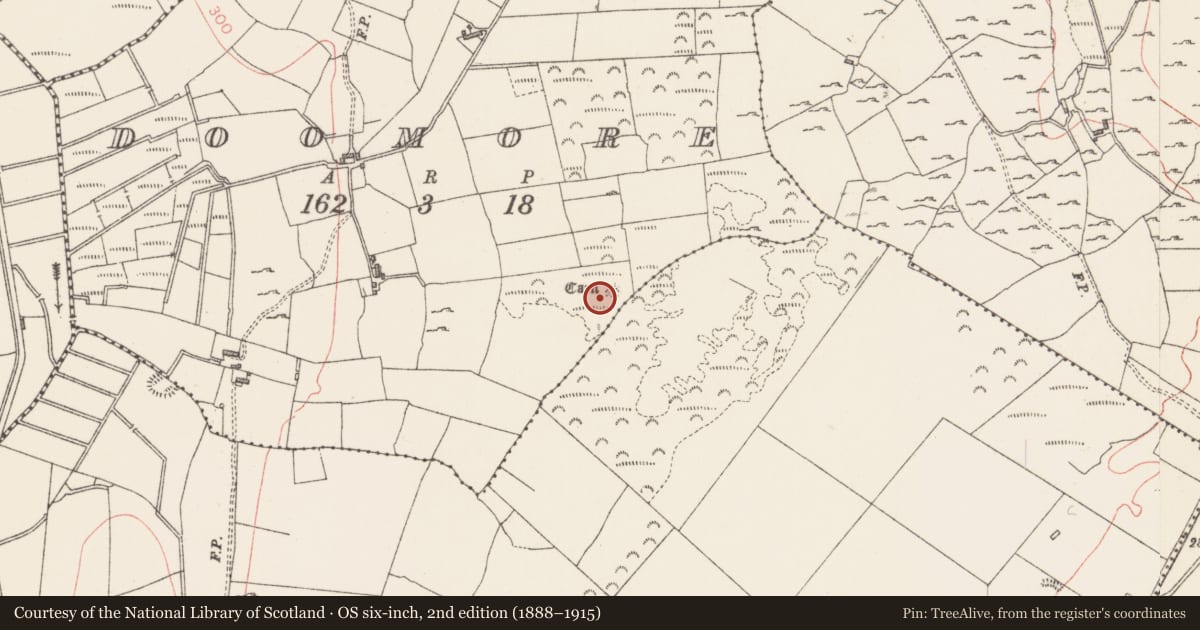 Ordnance Survey six-inch map, 2nd edition (1888–1915) covering the location of Cairn - unclassified, Doomore, County Sligo, with a pin at the register's coordinates