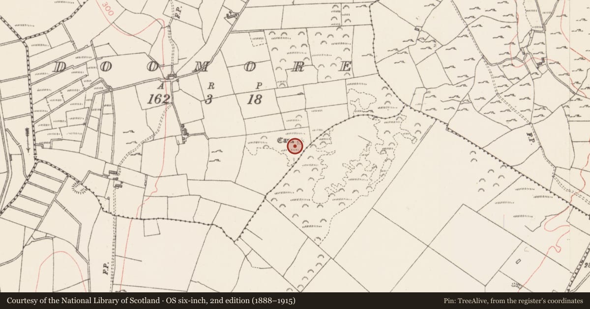 Ordnance Survey six-inch map, 2nd edition (1888–1915) covering the location of Cist, Doomore, County Sligo, with a pin at the register's coordinates