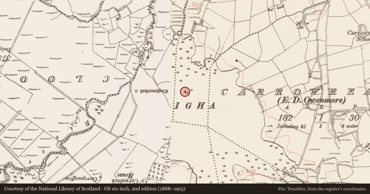 Ordnance Survey six-inch map, 2nd edition (1888–1915) covering the location of Crannog, Cartronroe, County Sligo, with a pin at the register's coordinates