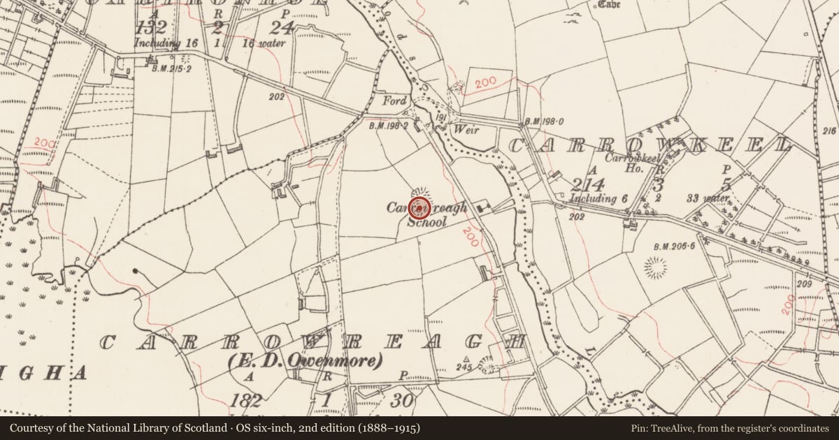 Ordnance Survey six-inch map, 2nd edition (1888–1915) covering the location of Ringfort - rath, Carrowreagh, County Sligo, with a pin at the register's coordinates