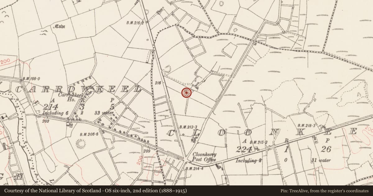 Ordnance Survey six-inch map, 2nd edition (1888–1915) covering the location of Ringfort - rath, Cloonkeevy, County Sligo, with a pin at the register's coordinates