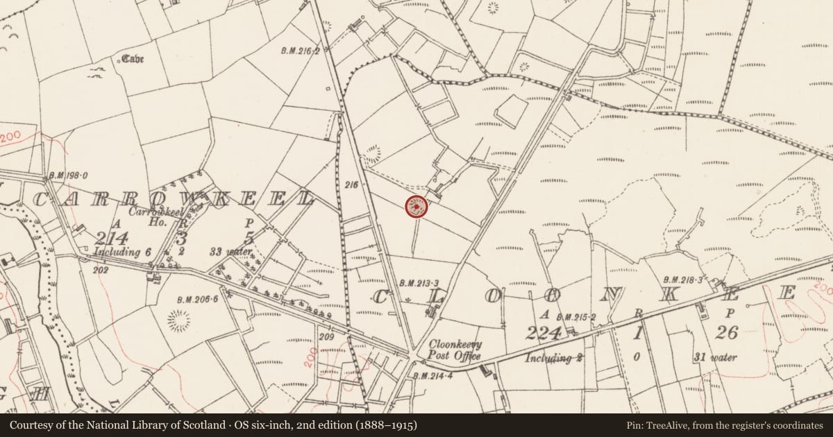 Ordnance Survey six-inch map, 2nd edition (1888–1915) covering the location of Hut site, Cloonkeevy, County Sligo, with a pin at the register's coordinates