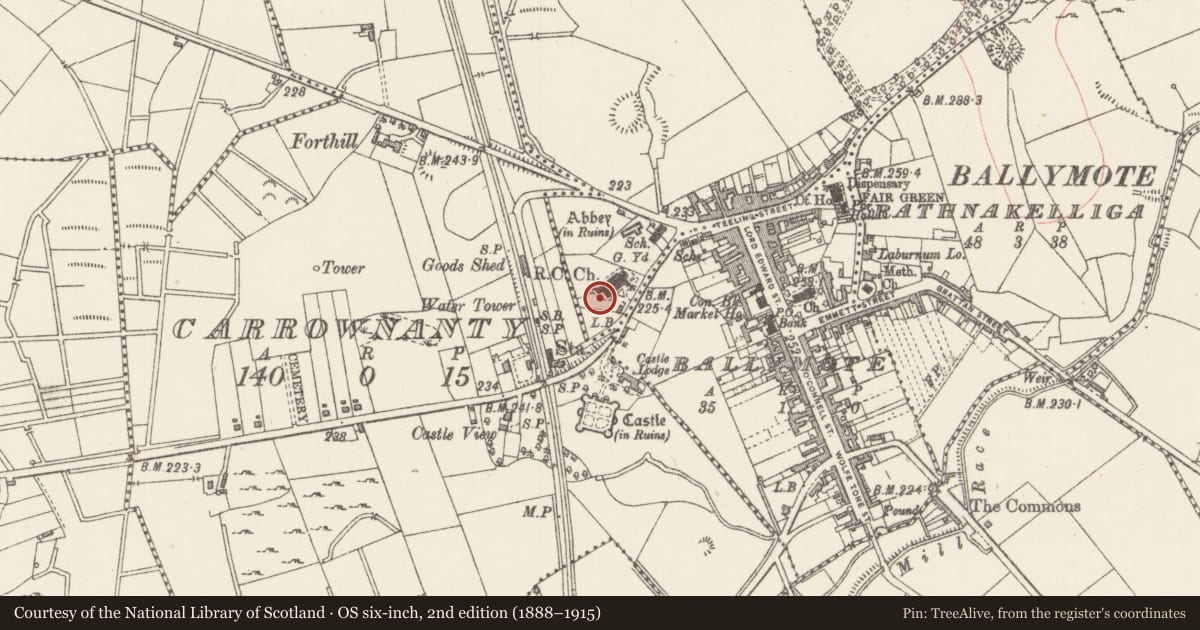 Ordnance Survey six-inch map, 2nd edition (1888–1915) covering the location of Architectural fragment, Stoneparks, County Sligo, with a pin at the register's coordinates