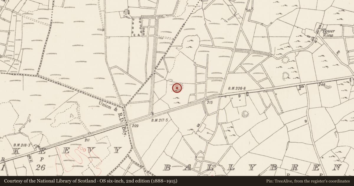 Ordnance Survey six-inch map, 2nd edition (1888–1915) covering the location of Ringfort - rath, Ballybrennan, County Sligo, with a pin at the register's coordinates