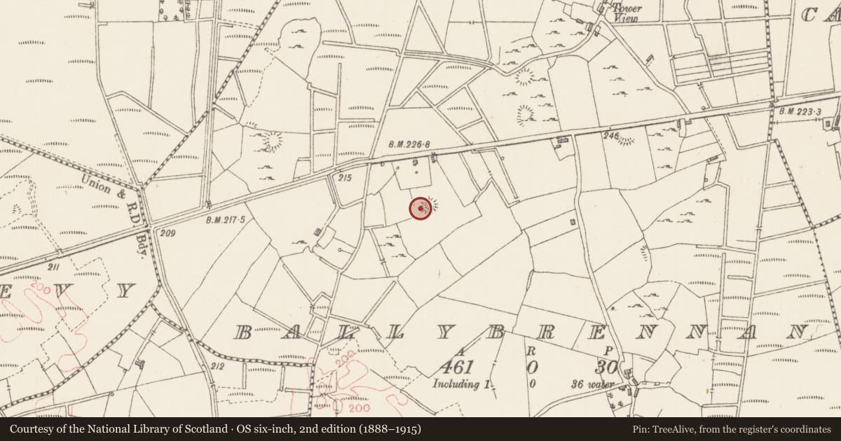 Ordnance Survey six-inch map, 2nd edition (1888–1915) covering the location of Ringfort - rath, Ballybrennan, County Sligo, with a pin at the register's coordinates
