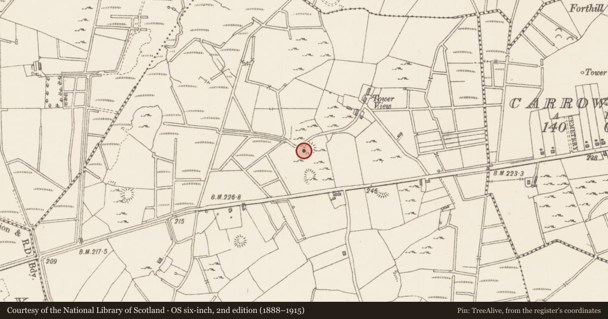 Ordnance Survey six-inch map, 2nd edition (1888–1915) covering the location of Ringfort - rath, Ballybrennan, County Sligo, with a pin at the register's coordinates