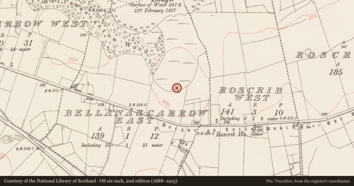 Ordnance Survey six-inch map, 2nd edition (1888–1915) covering the location of Ringfort - rath, Bellanascarrow East, County Sligo, with a pin at the register's coordinates