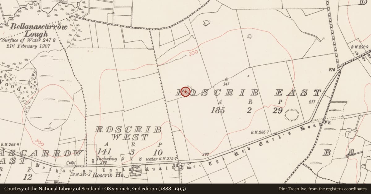 Ordnance Survey six-inch map, 2nd edition (1888–1915) covering the location of Ringfort - rath, Roscrib East, County Sligo, with a pin at the register's coordinates