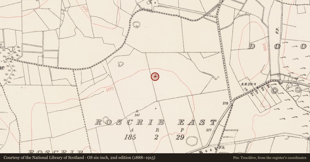 Ordnance Survey six-inch map, 2nd edition (1888–1915) covering the location of Barrow - embanked barrow, Roscrib East, County Sligo, with a pin at the register's coordinates