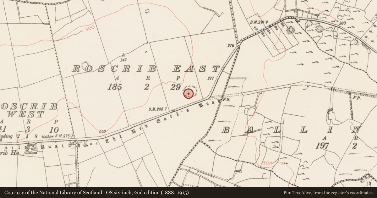 Ordnance Survey six-inch map, 2nd edition (1888–1915) covering the location of Ringfort - rath, Roscrib East, County Sligo, with a pin at the register's coordinates
