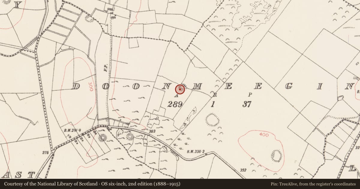 Ordnance Survey six-inch map, 2nd edition (1888–1915) covering the location of Ringfort - rath, Doonmeegin, County Sligo, with a pin at the register's coordinates