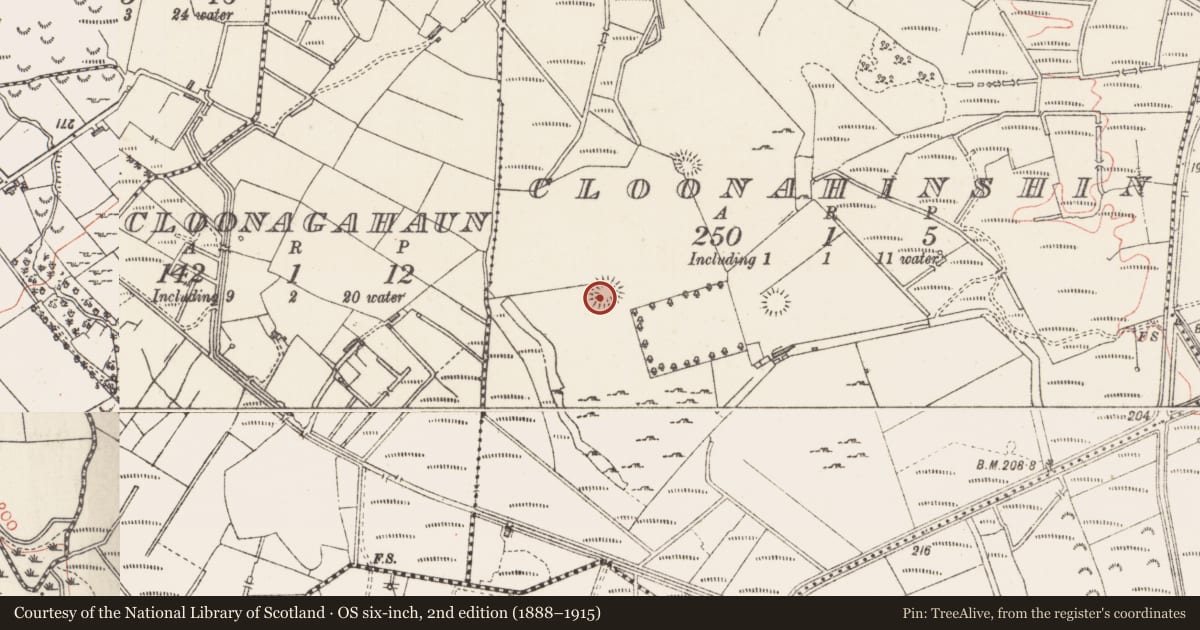 Ordnance Survey six-inch map, 2nd edition (1888–1915) covering the location of Ringfort - rath, Cloonahinshin, County Sligo, with a pin at the register's coordinates
