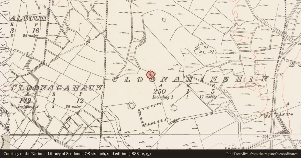 Ordnance Survey six-inch map, 2nd edition (1888–1915) covering the location of Ringfort - rath, Cloonahinshin, County Sligo, with a pin at the register's coordinates