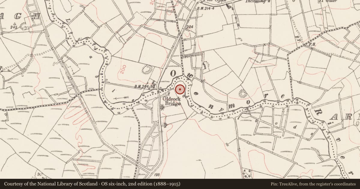 Ordnance Survey six-inch map, 2nd edition (1888–1915) covering the location of Moated site, Shancarrigeen Or Oldrock, County Sligo, with a pin at the register's coordinates