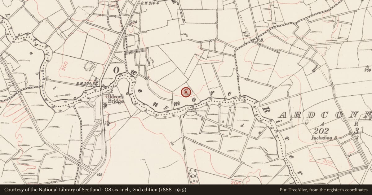 Ordnance Survey six-inch map, 2nd edition (1888–1915) covering the location of Ringfort - rath, Cloonkeevy, County Sligo, with a pin at the register's coordinates