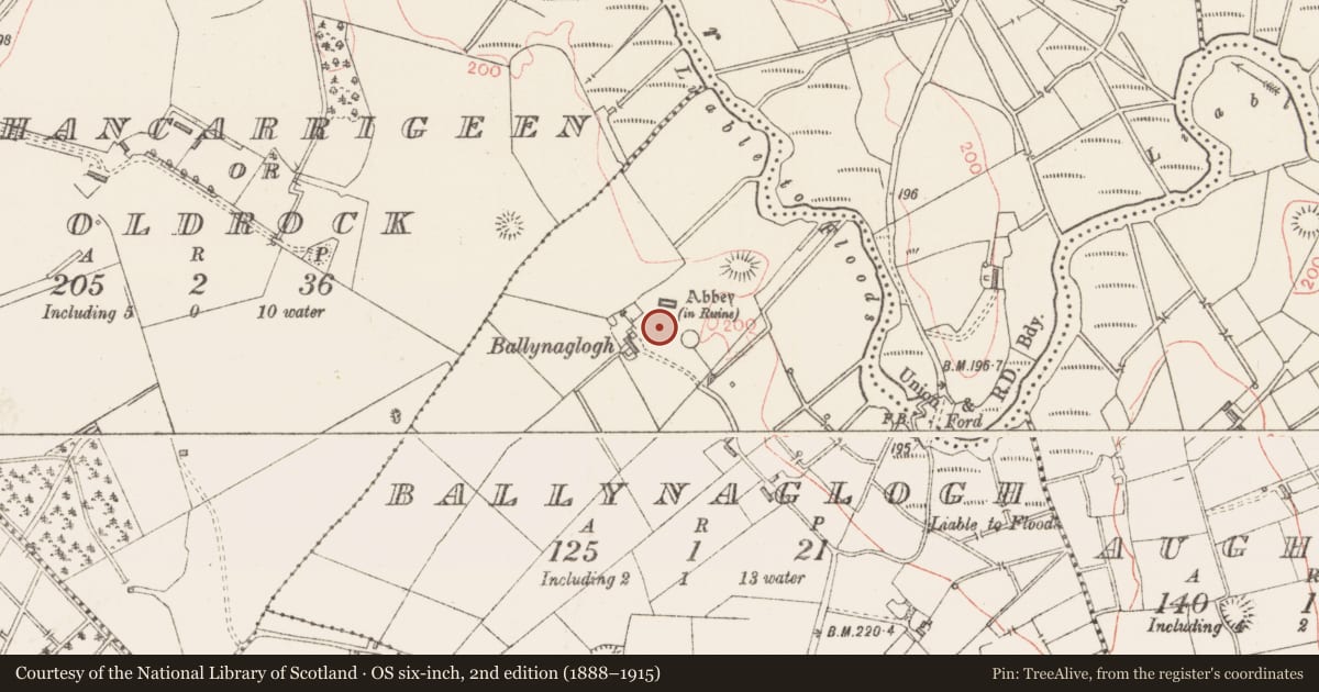 Ordnance Survey six-inch map, 2nd edition (1888–1915) covering the location of Graveyard, Ballynaglogh, County Sligo, with a pin at the register's coordinates