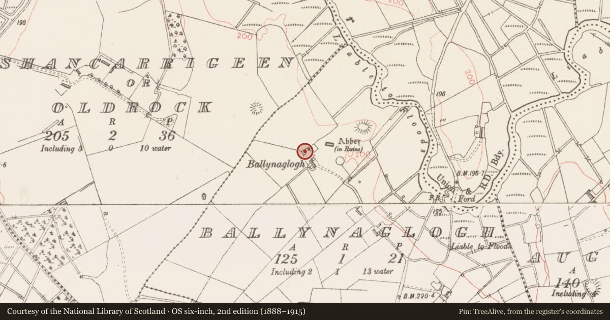 Ordnance Survey six-inch map, 2nd edition (1888–1915) covering the location of Dovecote, Ballynaglogh, County Sligo, with a pin at the register's coordinates