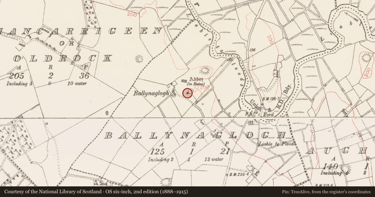 Ordnance Survey six-inch map, 2nd edition (1888–1915) covering the location of Fish-pond, Ballynaglogh, County Sligo, with a pin at the register's coordinates