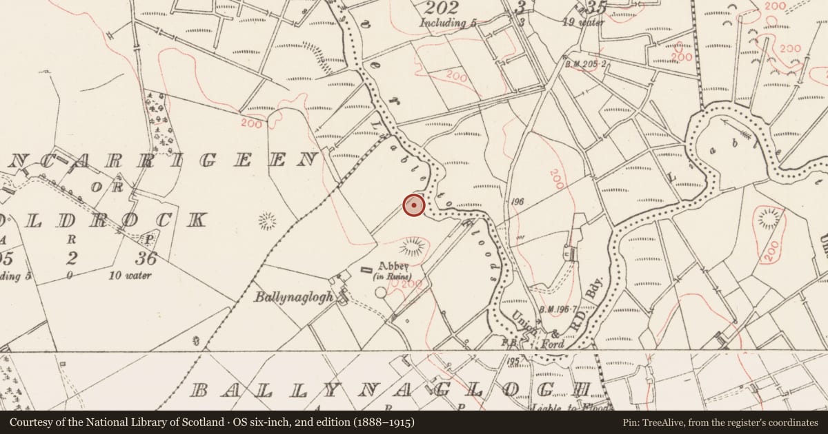 Ordnance Survey six-inch map, 2nd edition (1888–1915) covering the location of Moated site, Ballynaglogh, County Sligo, with a pin at the register's coordinates