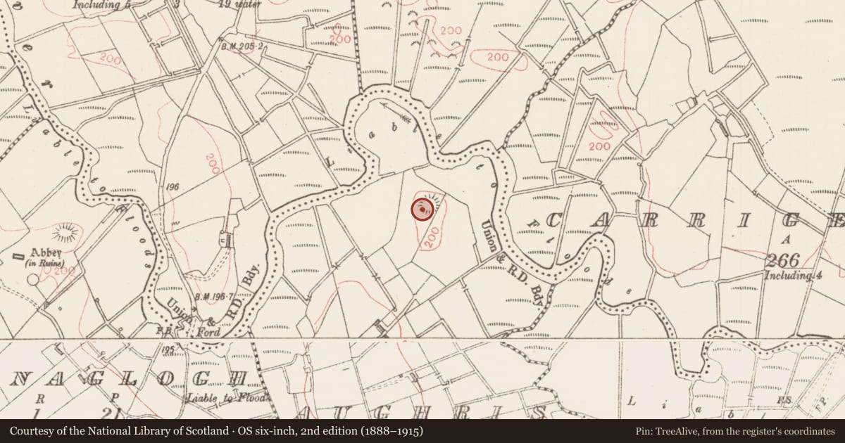 Ordnance Survey six-inch map, 2nd edition (1888–1915) covering the location of Ringfort - rath, Aughris, County Sligo, with a pin at the register's coordinates