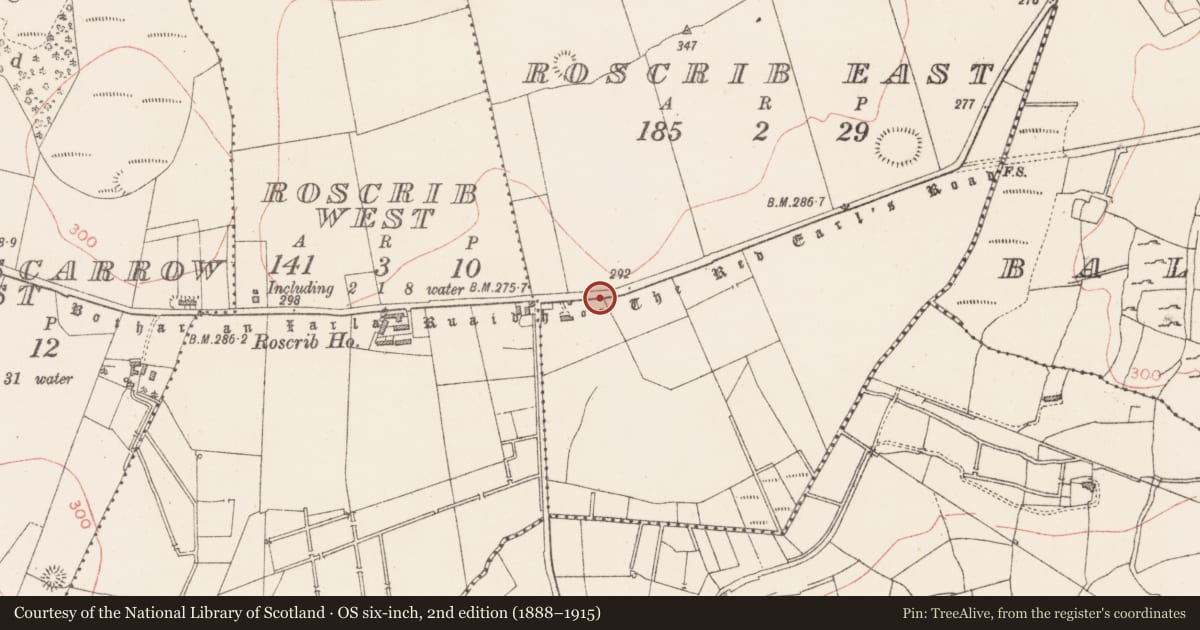 Ordnance Survey six-inch map, 2nd edition (1888–1915) covering the location of Road - road/trackway, County Sligo, with a pin at the register's coordinates