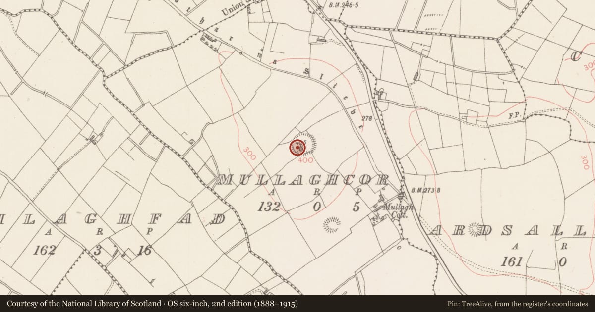 Ordnance Survey six-inch map, 2nd edition (1888–1915) covering the location of Hilltop enclosure, Mullaghcor, County Sligo, with a pin at the register's coordinates