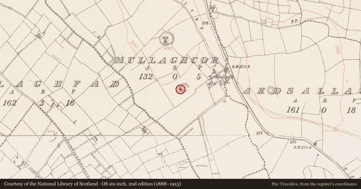Ordnance Survey six-inch map, 2nd edition (1888–1915) covering the location of Ringfort - rath, Mullaghcor, County Sligo, with a pin at the register's coordinates