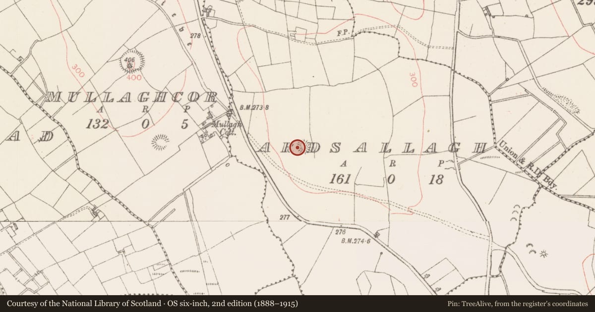 Ordnance Survey six-inch map, 2nd edition (1888–1915) covering the location of Ringfort - rath, Ardsallagh, County Sligo, with a pin at the register's coordinates