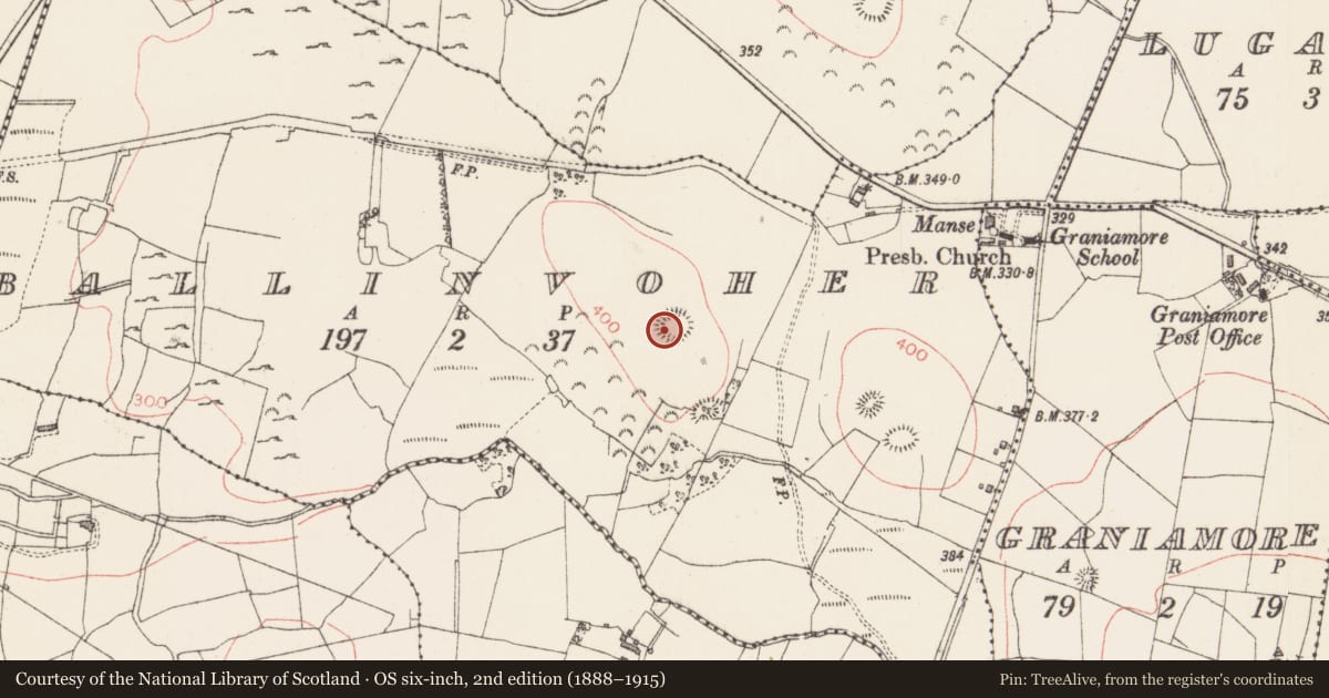 Ordnance Survey six-inch map, 2nd edition (1888–1915) covering the location of Ringfort - rath, Ballinvoher, County Sligo, with a pin at the register's coordinates