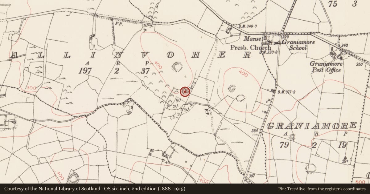 Ordnance Survey six-inch map, 2nd edition (1888–1915) covering the location of Ringfort - rath, Ballinvoher, County Sligo, with a pin at the register's coordinates