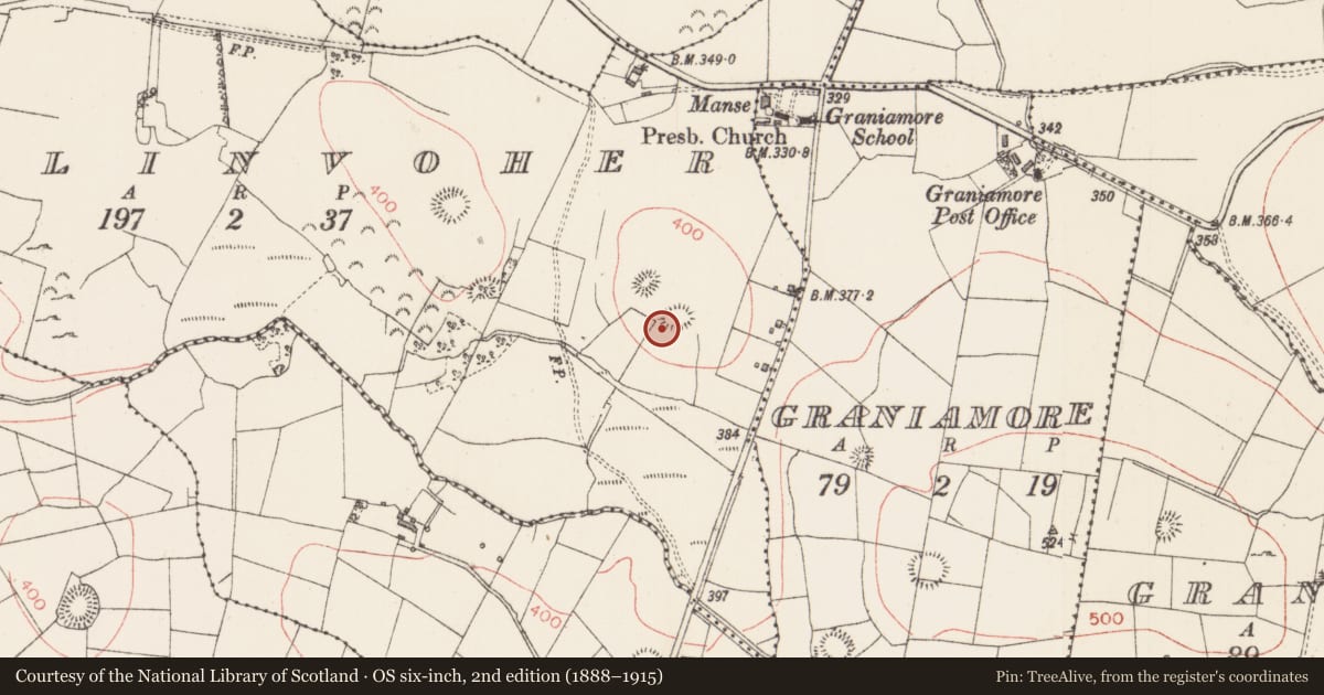 Ordnance Survey six-inch map, 2nd edition (1888–1915) covering the location of Ringfort - rath, Ballinvoher, County Sligo, with a pin at the register's coordinates