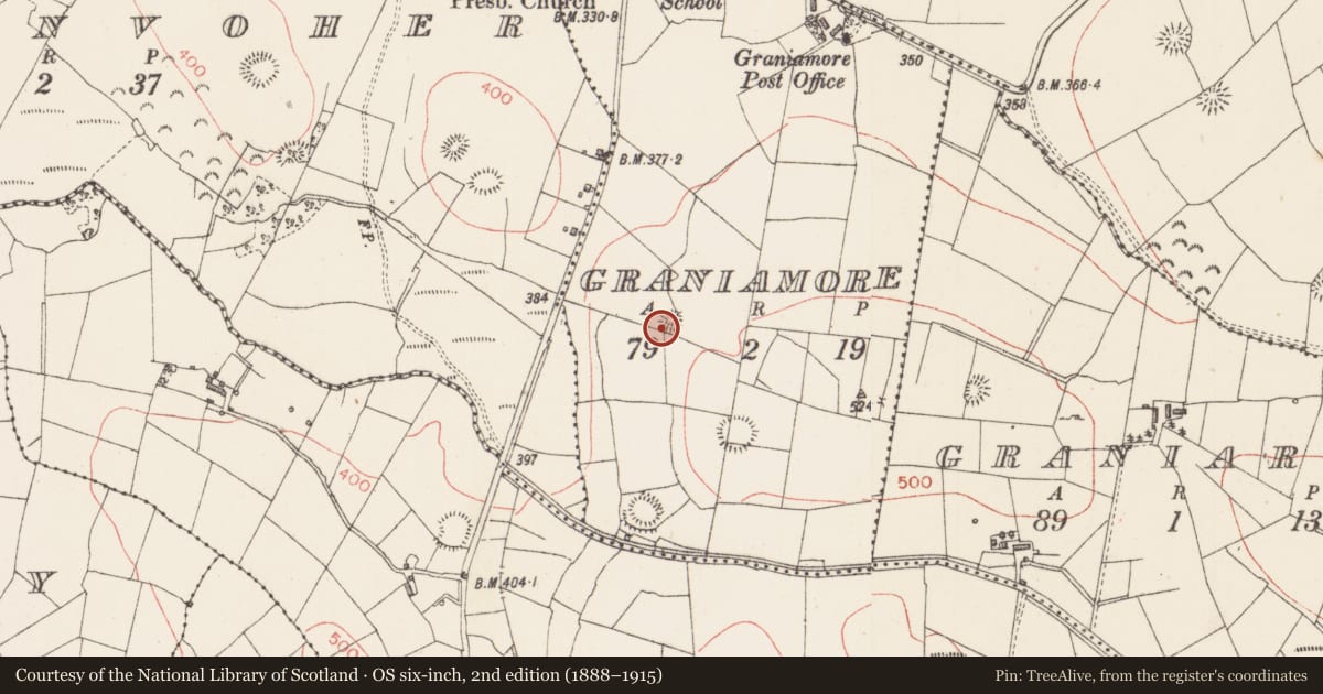 Ordnance Survey six-inch map, 2nd edition (1888–1915) covering the location of Ringfort - rath, Graniamore, County Sligo, with a pin at the register's coordinates