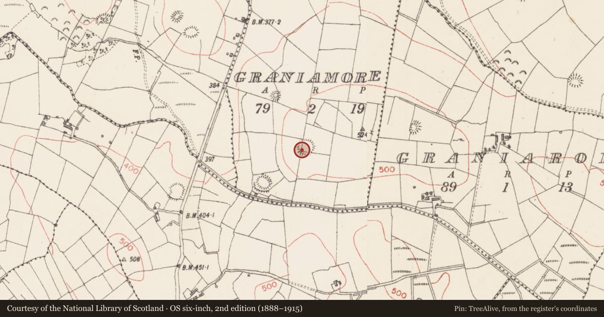 Ordnance Survey six-inch map, 2nd edition (1888–1915) covering the location of Ringfort - rath, Graniamore, County Sligo, with a pin at the register's coordinates