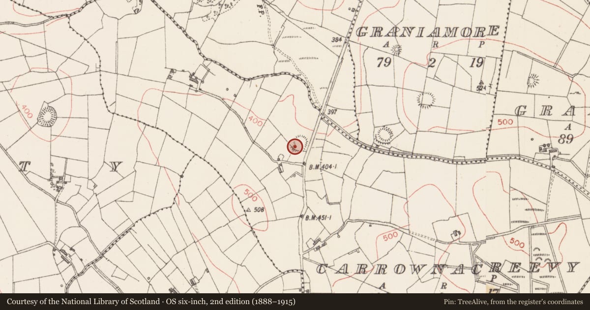 Ordnance Survey six-inch map, 2nd edition (1888–1915) covering the location of Ringfort - rath, Carrownacreevy, County Sligo, with a pin at the register's coordinates