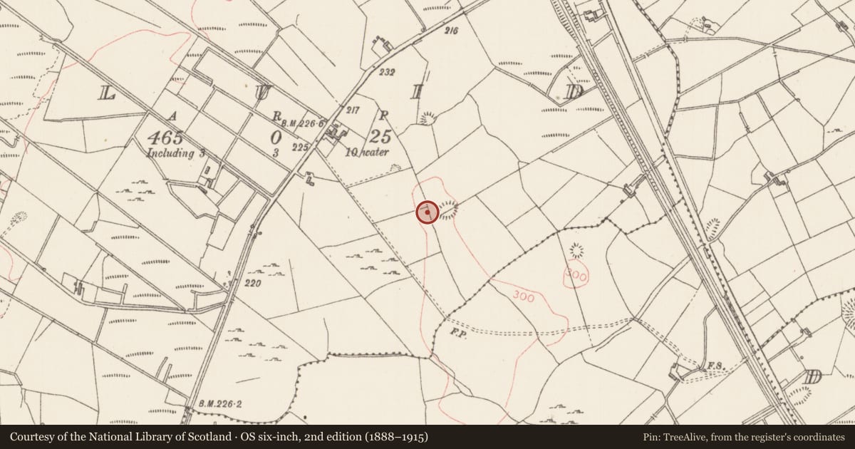 Ordnance Survey six-inch map, 2nd edition (1888–1915) covering the location of Megalithic tomb - unclassified, Cluid, County Sligo, with a pin at the register's coordinates