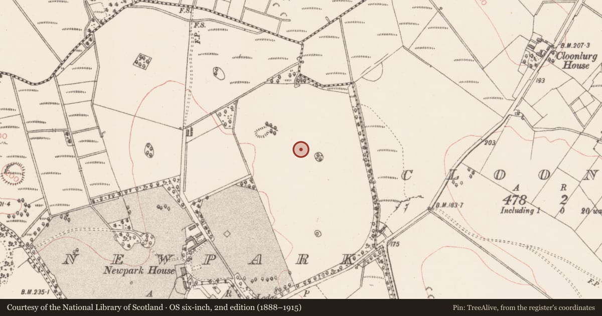 Ordnance Survey six-inch map, 2nd edition (1888–1915) covering the location of Graveyard, Newpark, County Sligo, with a pin at the register's coordinates