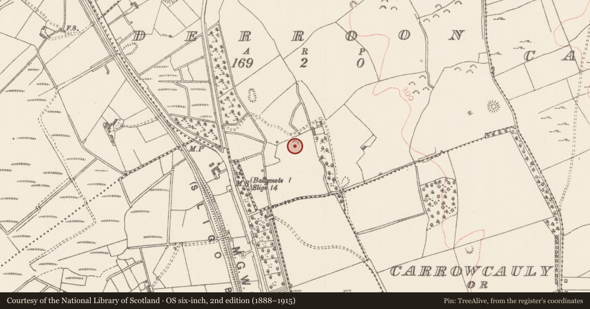 Ordnance Survey six-inch map, 2nd edition (1888–1915) covering the location of House - 16th/17th century, Derroon, County Sligo, with a pin at the register's coordinates