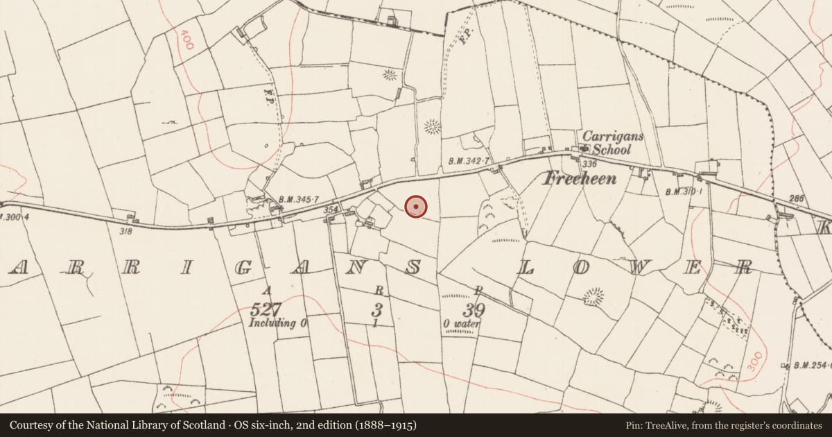 Ordnance Survey six-inch map, 2nd edition (1888–1915) covering the location of Kiln - lime, Carrigans Lower, County Sligo, with a pin at the register's coordinates
