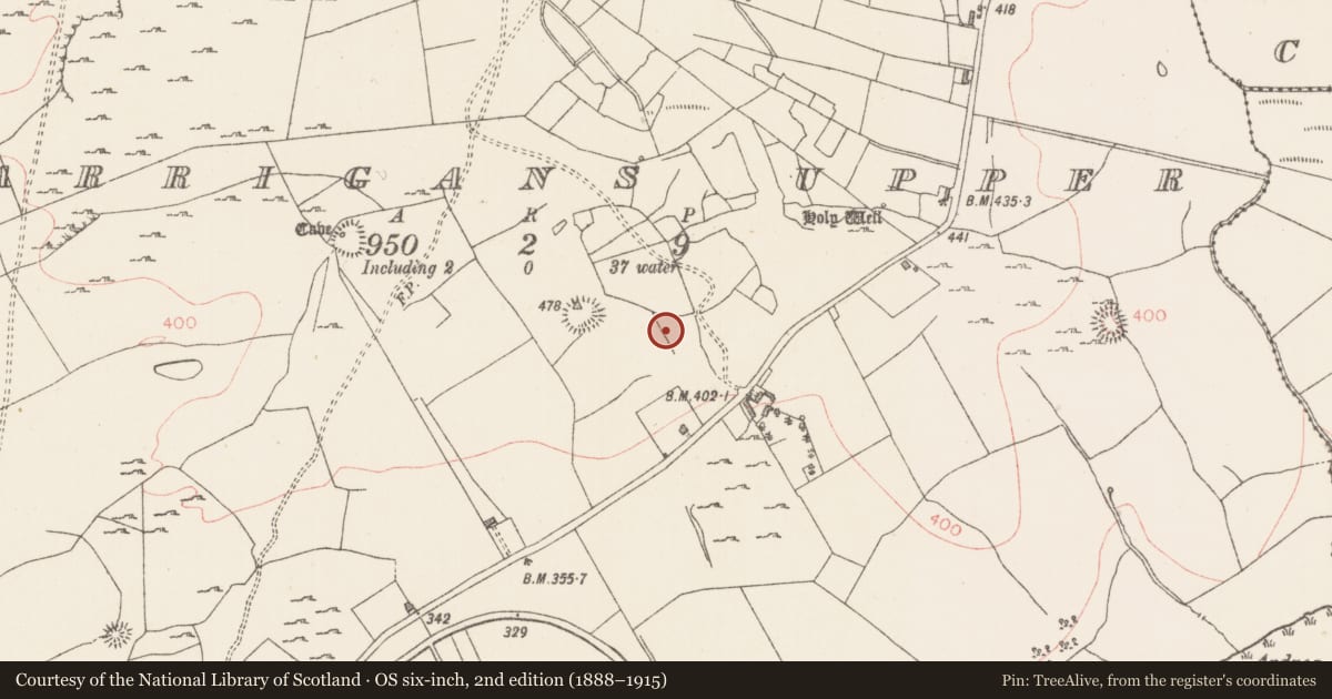 Ordnance Survey six-inch map, 2nd edition (1888–1915) covering the location of Hut site, Carrigans Upper, County Sligo, with a pin at the register's coordinates
