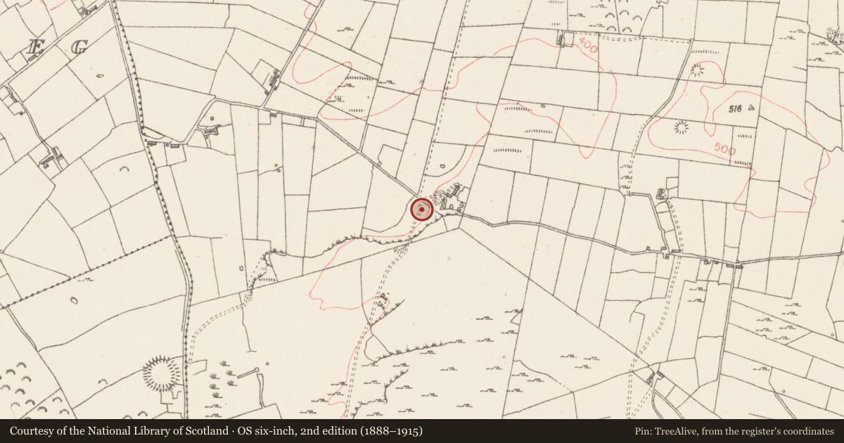 Ordnance Survey six-inch map, 2nd edition (1888–1915) covering the location of Kiln - lime, Carrigans Upper, County Sligo, with a pin at the register's coordinates