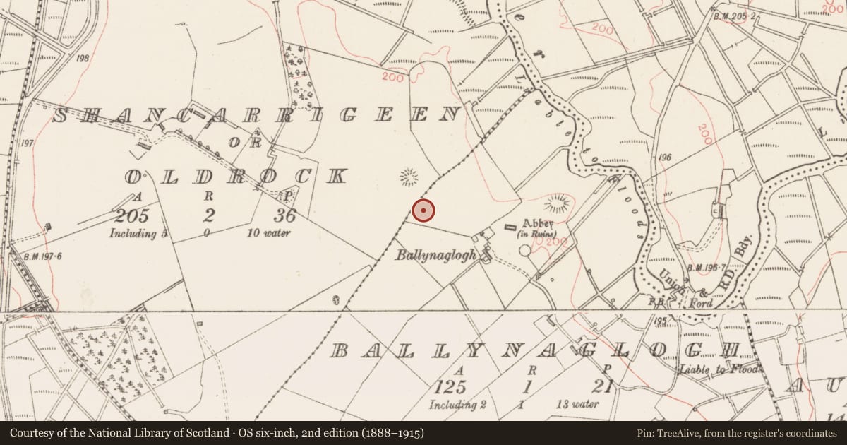 Ordnance Survey six-inch map, 2nd edition (1888–1915) covering the location of Cairn - unclassified, Ballynaglogh, County Sligo, with a pin at the register's coordinates