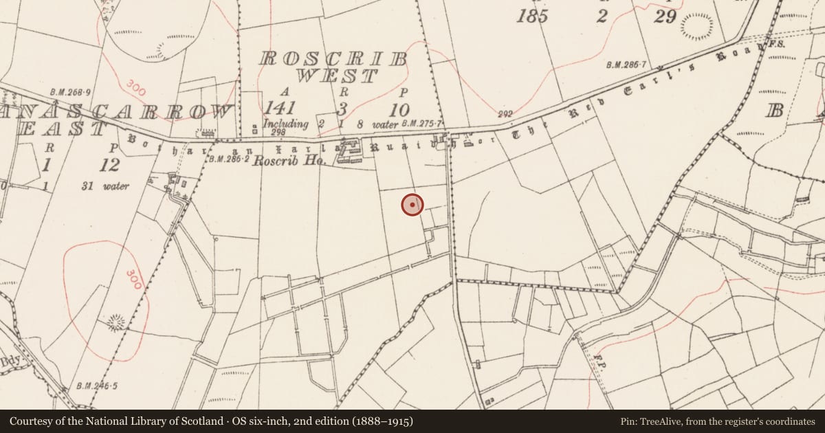 Ordnance Survey six-inch map, 2nd edition (1888–1915) covering the location of Ringfort - rath, Roscrib West, County Sligo, with a pin at the register's coordinates