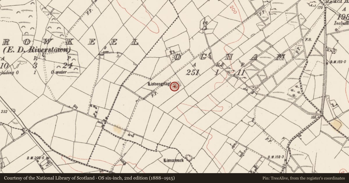 Ordnance Survey six-inch map, 2nd edition (1888–1915) covering the location of Ringfort - rath, Ogham, County Sligo, with a pin at the register's coordinates