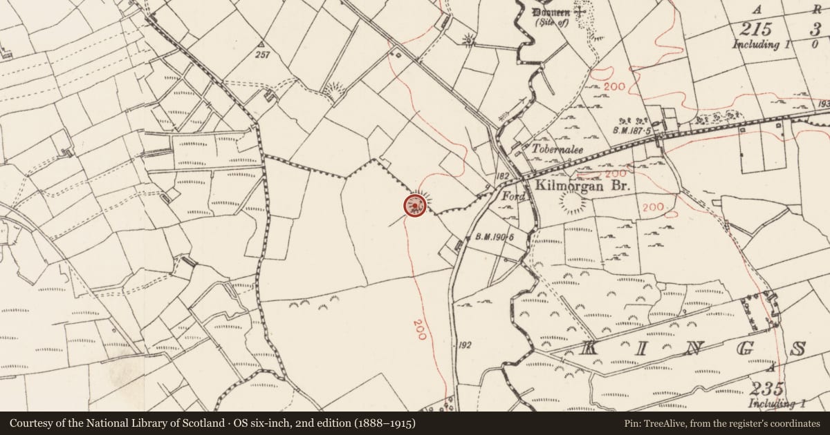 Ordnance Survey six-inch map, 2nd edition (1888–1915) covering the location of Ringfort - rath, Cloonlurg, Kilmorgan, County Sligo, with a pin at the register's coordinates
