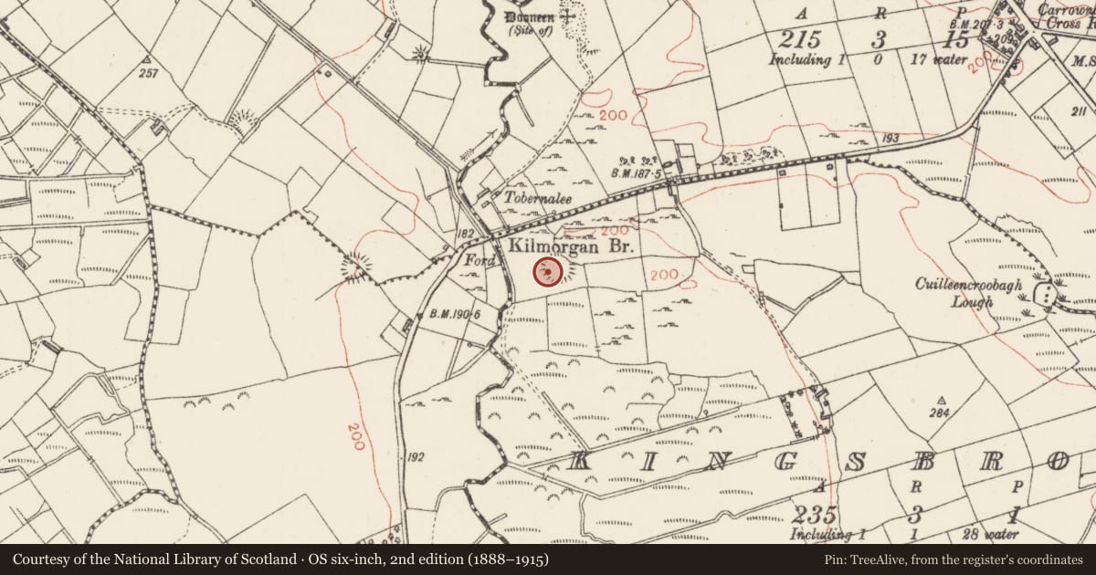 Ordnance Survey six-inch map, 2nd edition (1888–1915) covering the location of Hut site, Kingsbrook, County Sligo, with a pin at the register's coordinates
