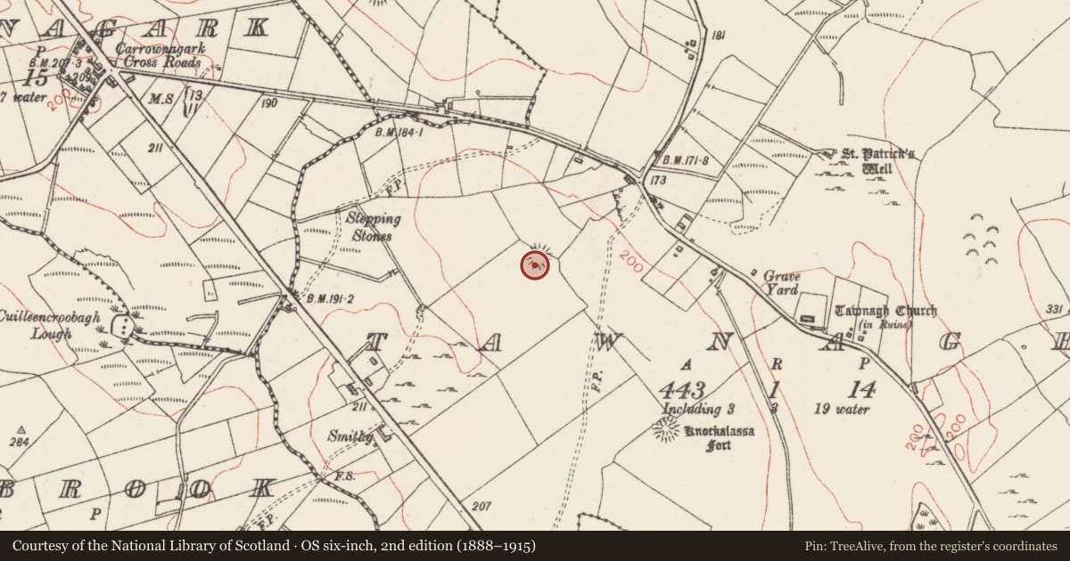 Ordnance Survey six-inch map, 2nd edition (1888–1915) covering the location of Ringfort - rath, Tawnagh, County Sligo, with a pin at the register's coordinates