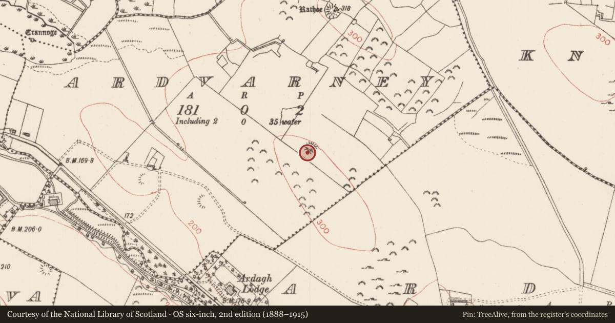 Ordnance Survey six-inch map, 2nd edition (1888–1915) covering the location of Ringfort - rath, Ardvarney, County Sligo, with a pin at the register's coordinates