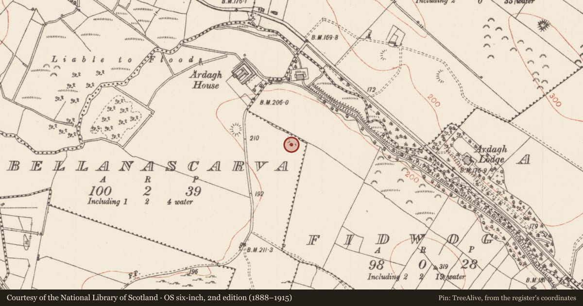 Ordnance Survey six-inch map, 2nd edition (1888–1915) covering the location of Ringfort - rath, Bellanascarva, County Sligo, with a pin at the register's coordinates