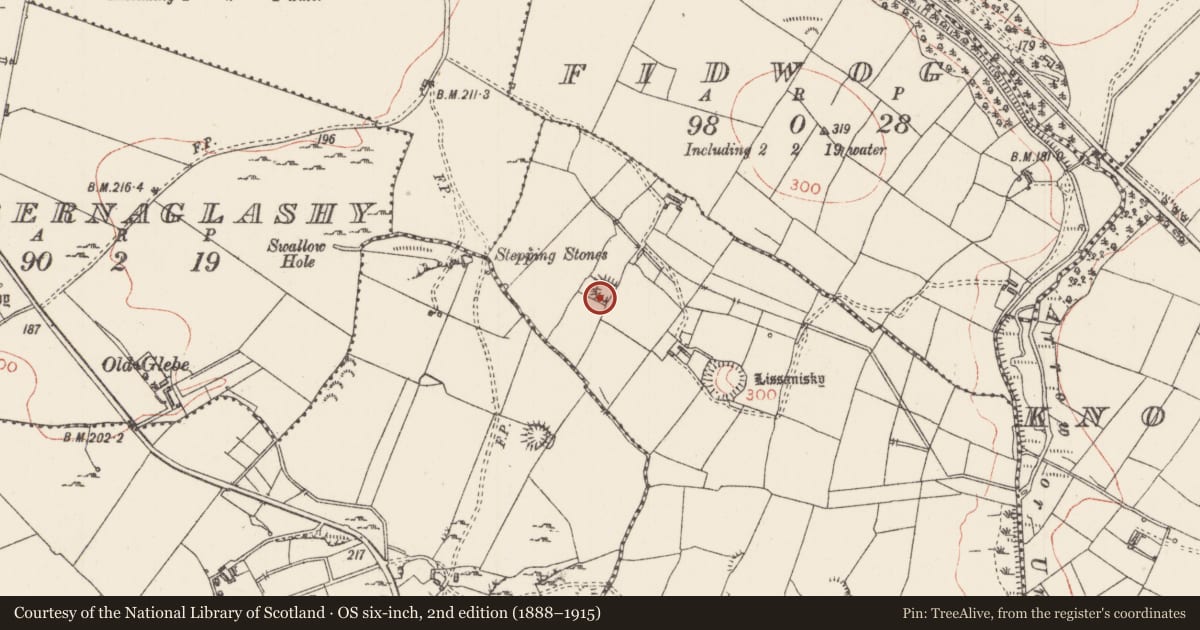 Ordnance Survey six-inch map, 2nd edition (1888–1915) covering the location of Ringfort - rath, Drumraine, County Sligo, with a pin at the register's coordinates